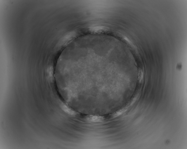X0000100970670200807151353