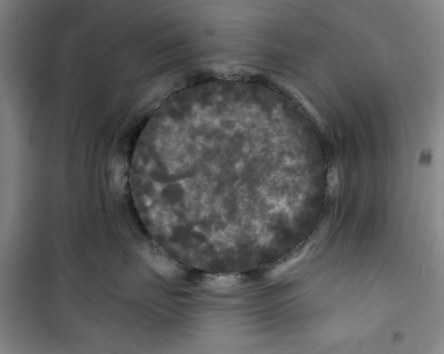 X0000100970671200807151353