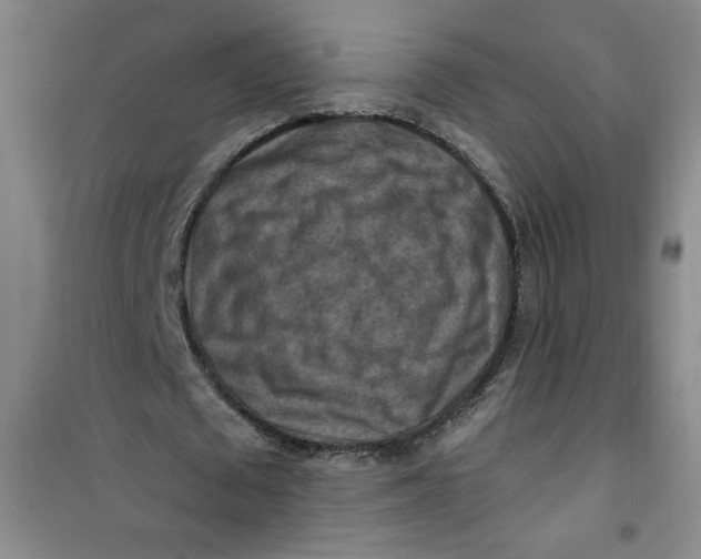 X0000100970673200807151352