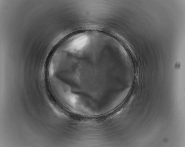 X0000100970674200807151352