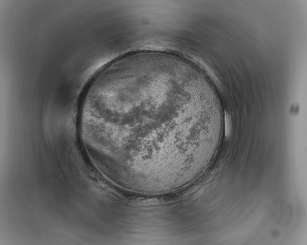 X0000100970675200807151352
