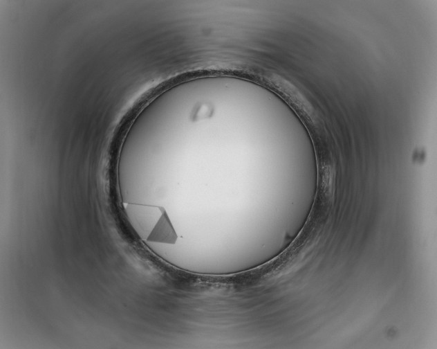 X0000100970676200807151352