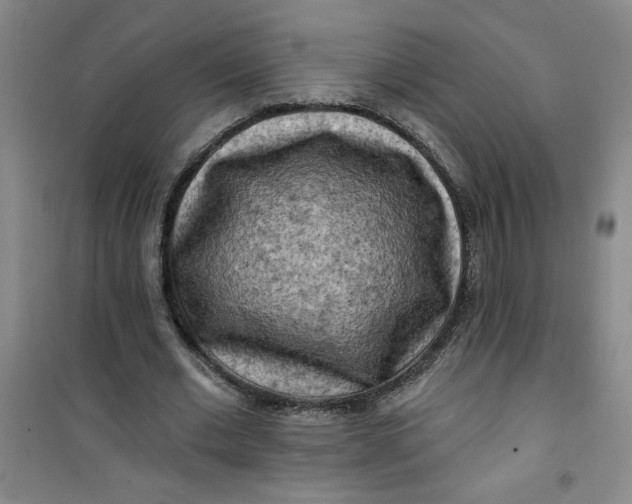 X0000100970677200807151352