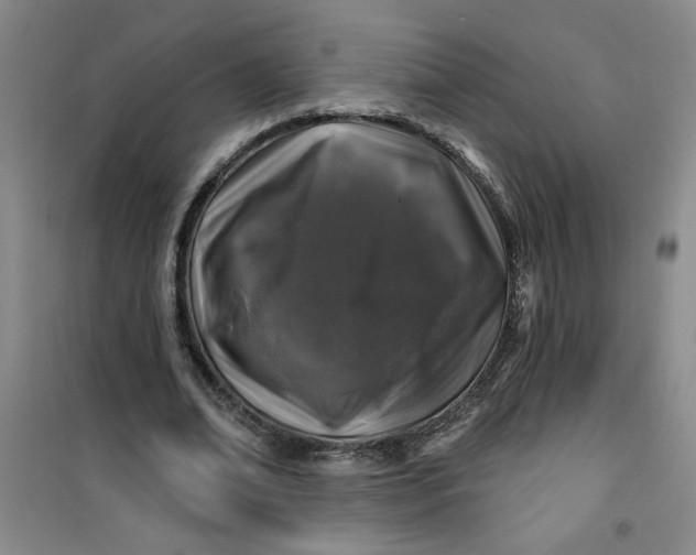X0000100970678200807151352