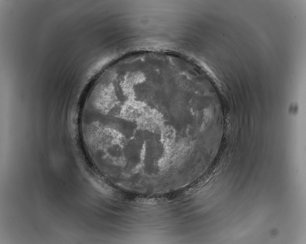 X0000100970679200807151352
