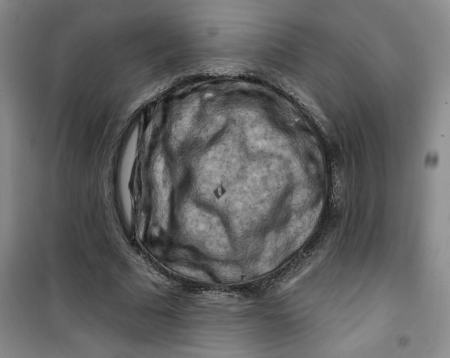 X0000100970681200807151352