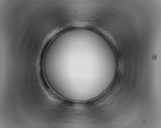 X0000100970682200807151352