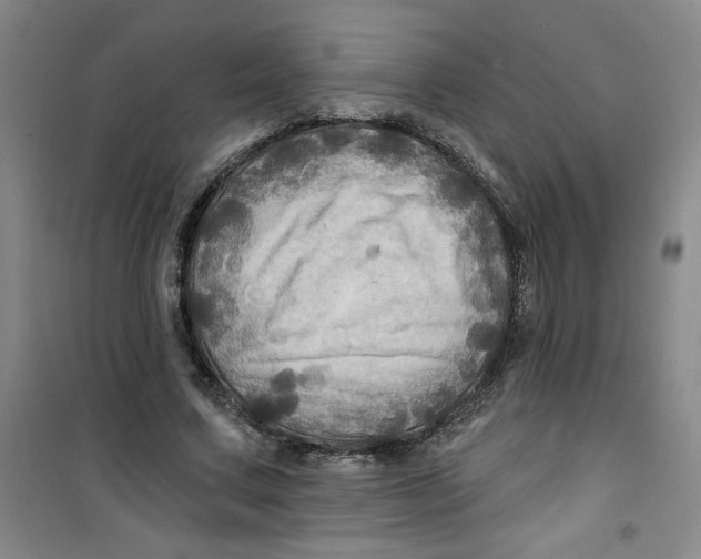 X0000100970683200807151352