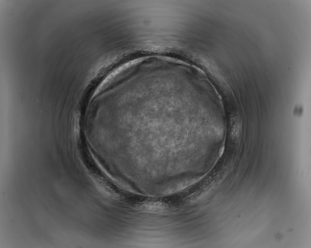 X0000100970685200807151352