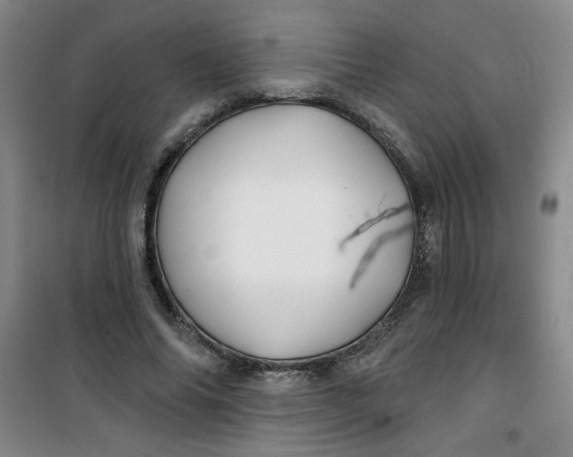 X0000100970686200807151352