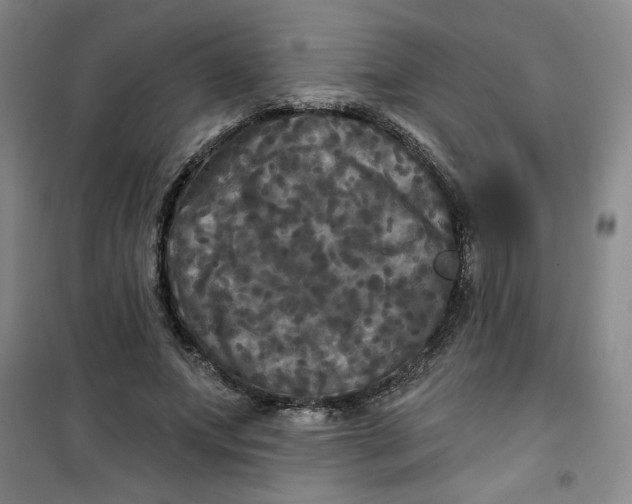 X0000100970687200807151352