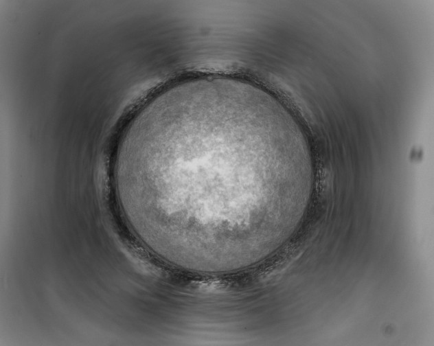 X0000100970688200807151352