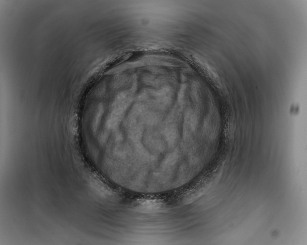 X0000100970689200807151352