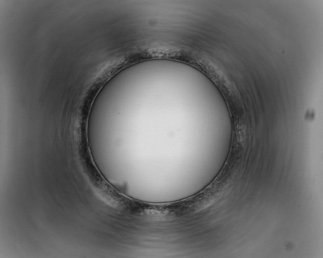 X0000100970690200807151352
