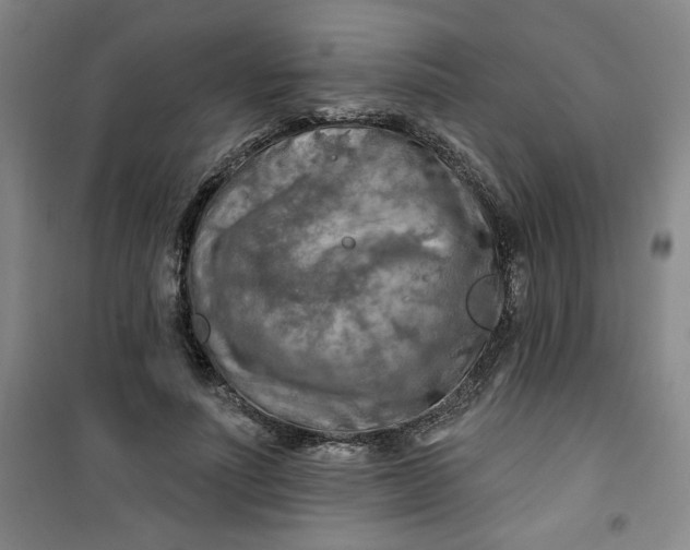 X0000100970691200807151352