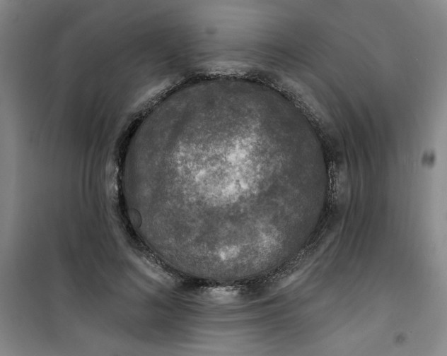 X0000100970692200807151352