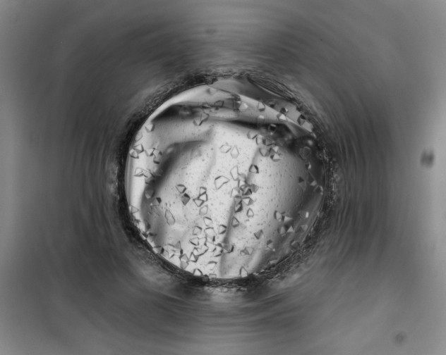 X0000100970693200807151352