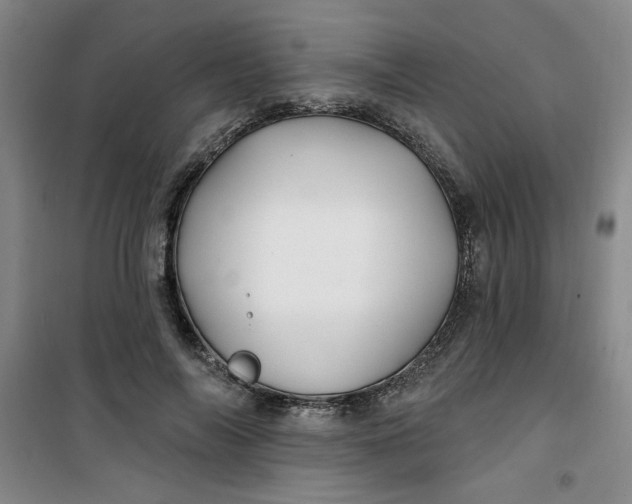 X0000100970694200807151352