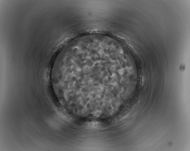 X0000100970695200807151351