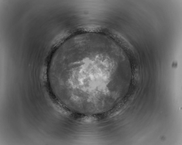 X0000100970696200807151351