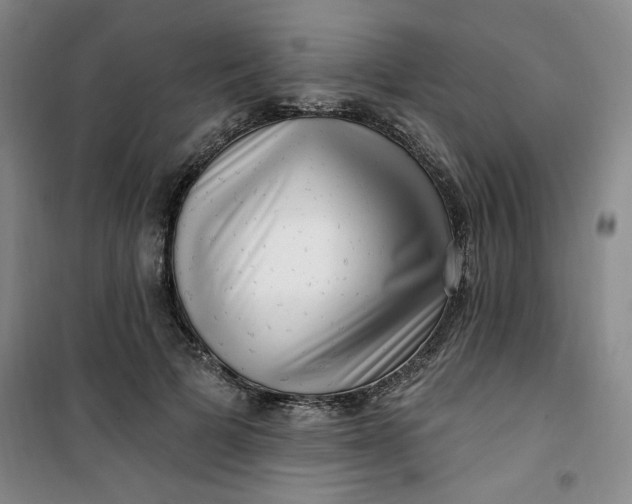 X0000100970697200807151351