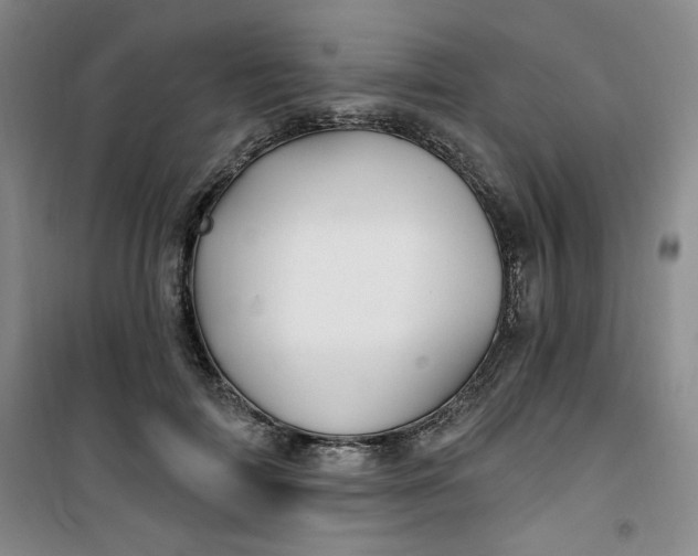 X0000100970698200807151351