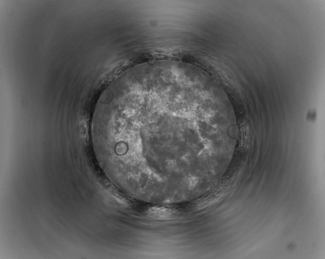 X0000100970699200807151351