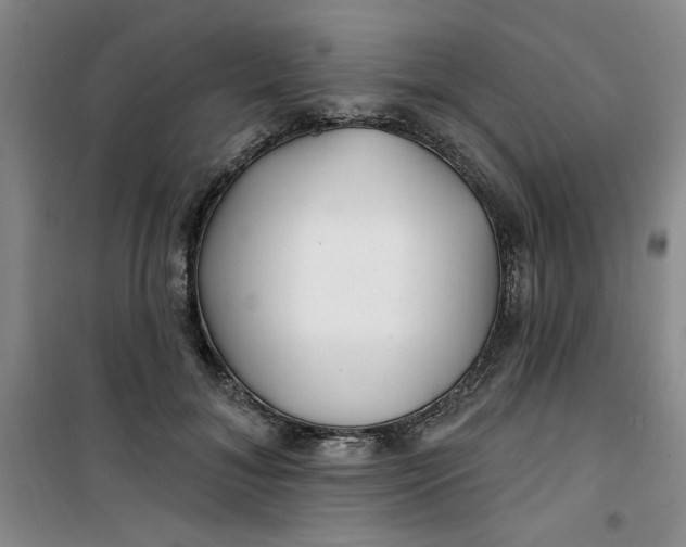 X0000100970700200807151351