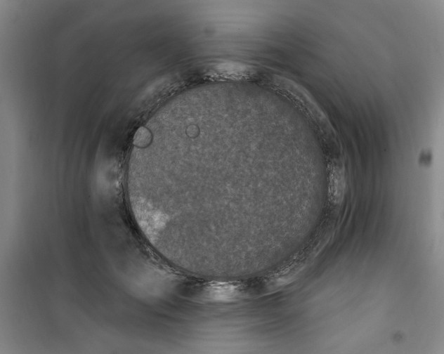 X0000100970701200807151351