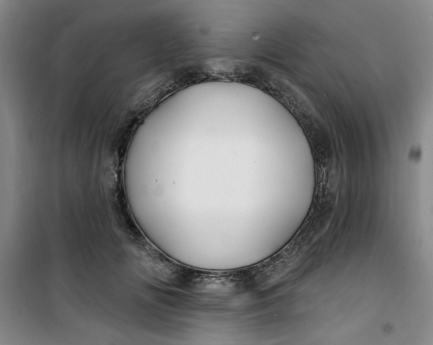X0000100970702200807151351