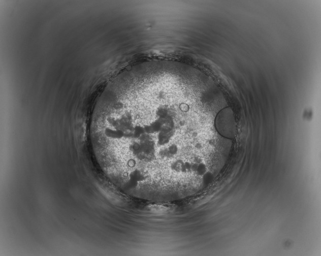 X0000100970703200807151351