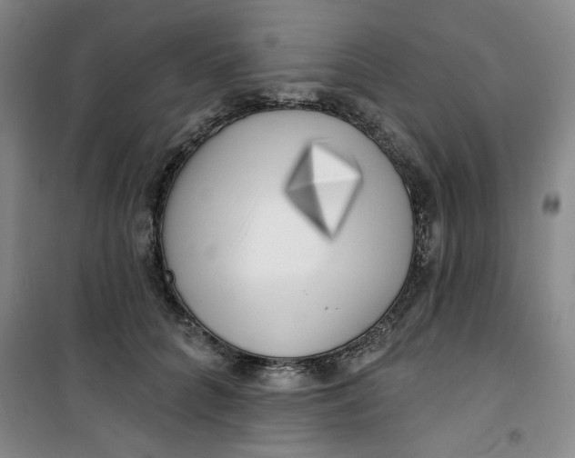 X0000100970704200807151351
