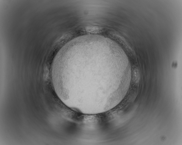 X0000100970705200807151351