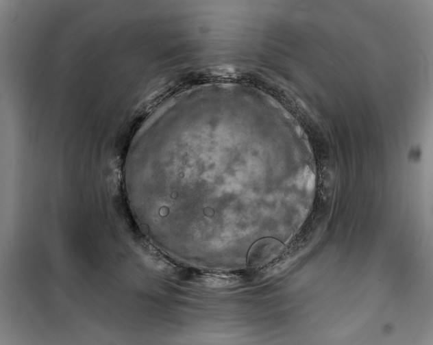 X0000100970707200807151351