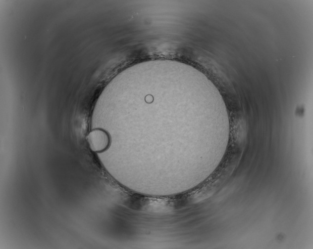 X0000100970709200807151351