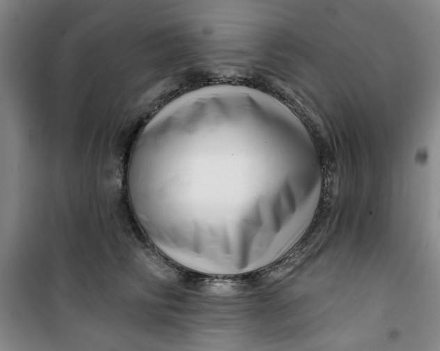 X0000100970710200807151351