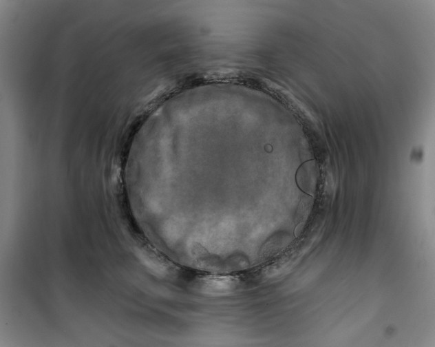 X0000100970711200807151351