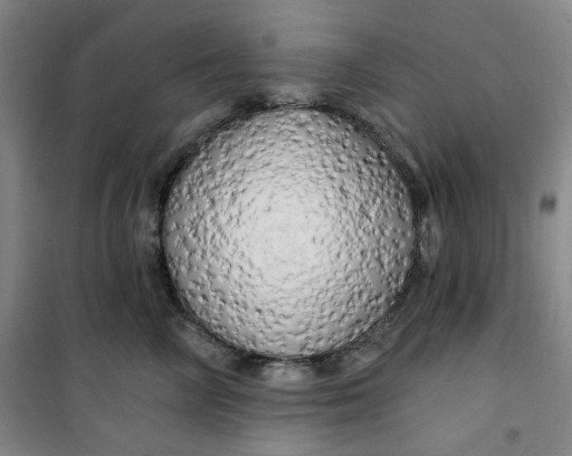 X0000100970714200807151351