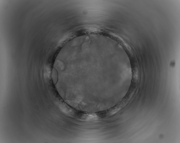 X0000100970715200807151351