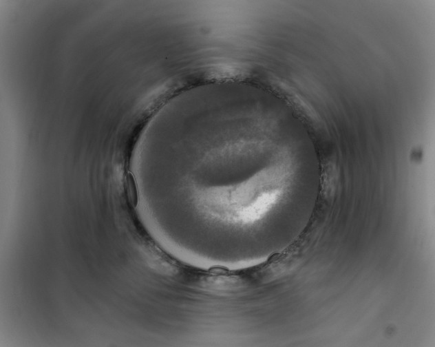 X0000100970716200807151351