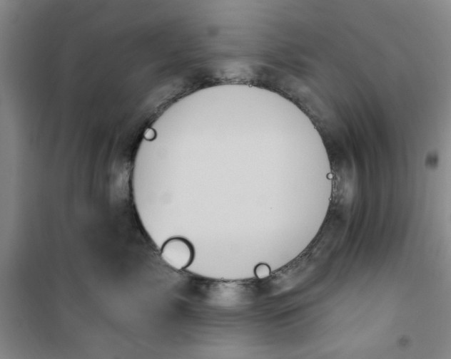 X0000100970717200807151351