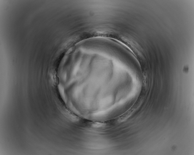 X0000100970718200807151351