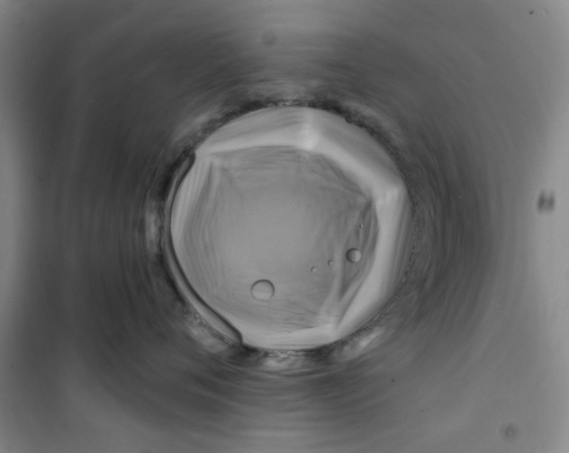 X0000100970720200807151351
