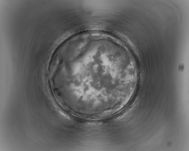 X0000100970721200807151350