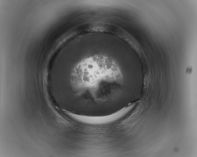 X0000100970722200807151350