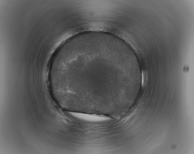 X0000100970723200807151350