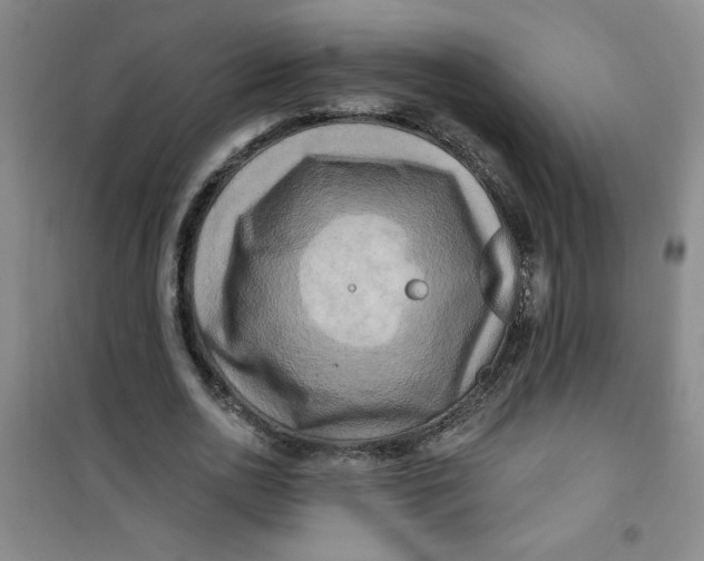 X0000100970726200807151350