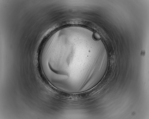 X0000100970727200807151351