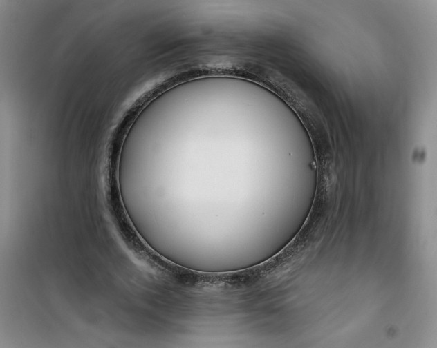 X0000100970728200807151351