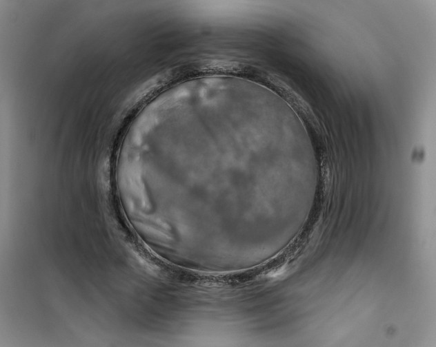 X0000100970729200807151351